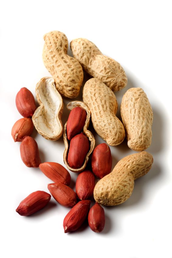 بادام زمینی غلافدار نمکی