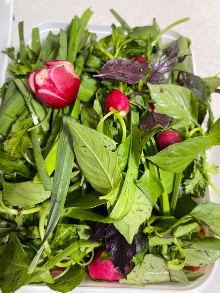 سبزی خوردن